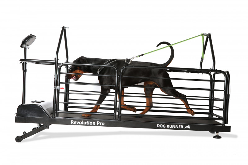 Dog Runner Revolution Pro